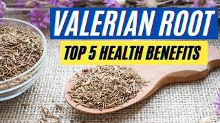 Valerian Root Health Benefits 5 Powerful Health Benefits