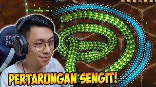 JEBAK CACING TERBESAR YANG LAGI MAKAN - Little Big Snake