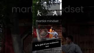 Martial Mindset - From Weakness to Strength How to Turn Your Struggles into Success - Claire Weekes