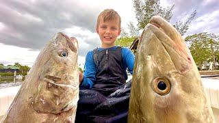 The Craziest Fishing Video I’ve Filmed yet  Cobia Moonfish and Snapper Catch Clean & Cook