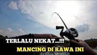 TERLALU NEKAT  Mancing Di Rawa Ini