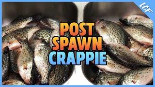  Crappie Fishing - How To Catch Post Spawn Crappie