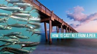 Spinning a Net from the Fishing Pier - Easy Way to Catch Bait