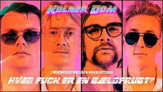 Fødevarestyrelsen – Hvad fuck er en bælgfrugt  ft. Kølner Dom radio edit