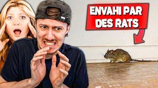 ON A VÉCU UN CAUCHEMAR  envahi par des RATS et des SINGES