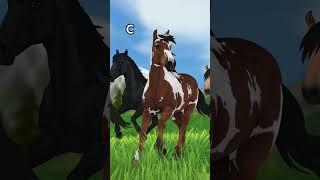 which one did you get? horse id give you based on your initial #shorts #starstable #gaming #horse