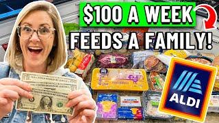 REALISTIC BUDGET MEAL PLAN $100 for a WEEK of FAMILY MEALS  $3 a Day per Person