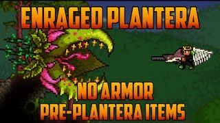 Terraria - Enraged Plantera no armor & pre-plantera gear