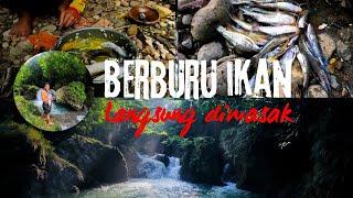 PETUALANGAN SERU‼️BERBURU IKAN DI SUNGAI JEJAK ANAK PETUALANG