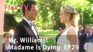 【EP 29】Mr. Williams Madame Is Dying #FlexTV #love #mustwatch