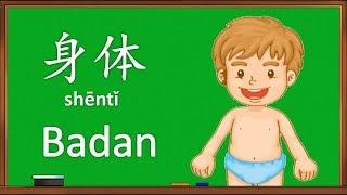 Belajar Nama Anggota Tubuh Dalam Bahasa Mandarin