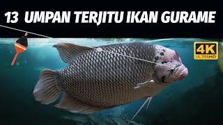 LENGKAP BOSKU 13 UMPAN TERJITU MANCING IKAN GURAME 4K