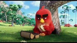 DulVoice Angry Birds Movie