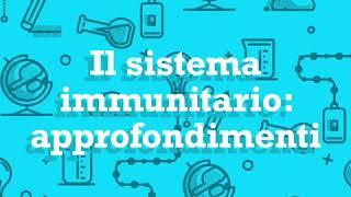 Approfondimenti di scienze il sistema immunitario. Anna B.