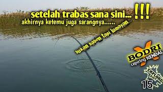 ternyata disini sarangmu... spot baru..mancing belanak