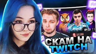 БЕБРИНА смотрит СКАМ НА TWITCH  СТИНТ