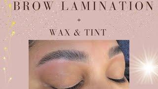 Brow Lamination Plus Wax and Tint
