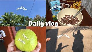 daily vlog  jalan-jalan sore weather petik buah making sereal