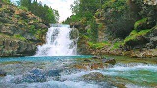 Relaxing Nature Ambience Meditation  5 min Healing SPRING FOREST Sounds by a Beautiful WATERFALL