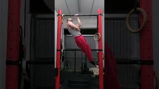 Another Perfect Slow One Arm pullup - superb technique read description