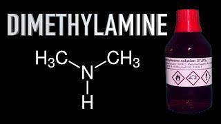 Making Dimethylamine A Chemical Used In Big Pharma