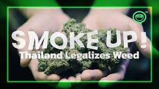 Smoke Up Thailand Legalizes Weed  Coconuts TV
