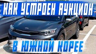 Всё о работе авто аукциона в Южной Корее От покупки автомобиля до отправки в Россию