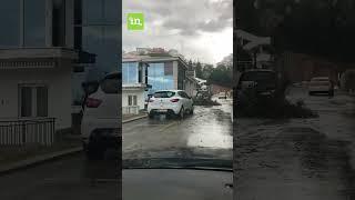 Erëra të forta e pemë të rrëzuara situata pas stuhisë në Ulqin