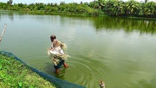 Net Fishing  Catching Fish By Cast Net  Net Fishing in the village Part-33