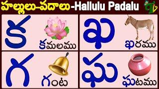 హల్లులు - పదాలు #HALLULU PADALU  Telugu Hallulu WORDS  Learn telugu words  Telugu vanam