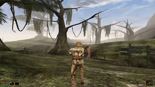 Morrowind - Level 1 vs Level 100