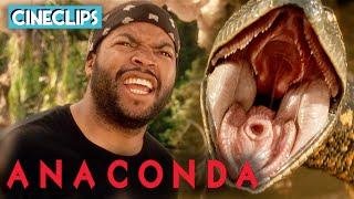 Ice Cubes Encounter With Anaconda  Anaconda  CineStream