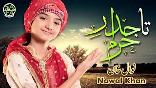 Nawal Khan  Tajdar e Haram  New Kalam 2023  Beautiful Video  Safa Islamic