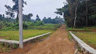 House plot for sale in Kizhakkambalam near Kakkanad.. low price