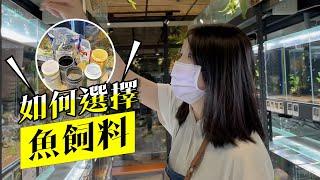 如何選擇魚飼料? 【憩魚水族】