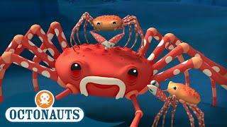 @Octonauts - The Spider Crab  Full Episode 45  Cartoons for Kids  Underwater Sea Education