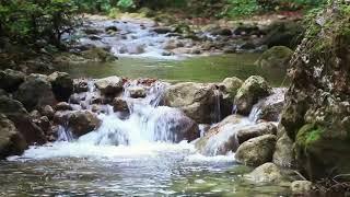 Absolute tranquility with the sound of flowing water - relaxation