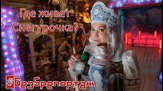 #Без5репортаж#22 Где живёт Снегурочка? Новогодний выпуск