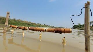 Hanging bamboo pipe Hook fishing trap with chicken leg Best fish Hunting video.#fishing
