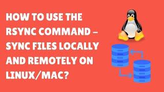 Linux Commands for Beginners  How To Use The rsync Command - Sync Files Locally and Remotely