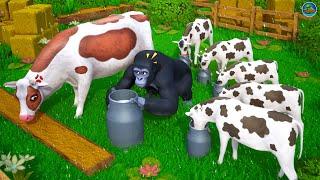 Gorillas Dairy Dilemma Cow Calfs Hilarious Milk Stealing Antics Funny Cows Comedy Cartoons