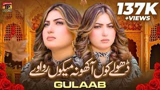 Gulaab New Song 2024  Dhole Kon Aakho Na Mekon Rowave  Gulaab  new saraiki song 2024  Tp Gold