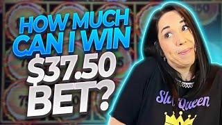 Will a $37 50 BET BONUS ON DRAGON LINK give me a comeback⁉️