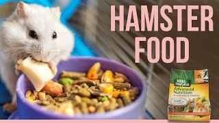 5 Best Hamster Food  What to Feed Hamster?