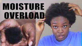 RUINING MY HAIR MOISTURE OVERLOAD- HYGRAL FATIGUE EXPLAINED