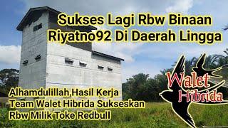 Sukses lagi rbw binaan riyatno92 di daerah lingga