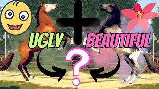 UGLY + BEAUTIFUL = CRAZY FOALS? RIVAL STARS HORSE RACING BREEDING