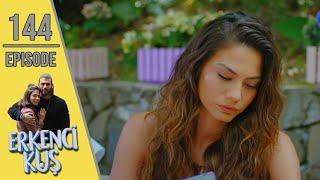 Early Bird - Episode 144 English Subtitles  Erkenci Kus