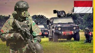 Review of All Indonesian National Armed Forces Equipment  Quantity of All Equipment