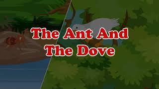 The Ant and The Dove - Bedtime Story - Sunbeam Publishers
